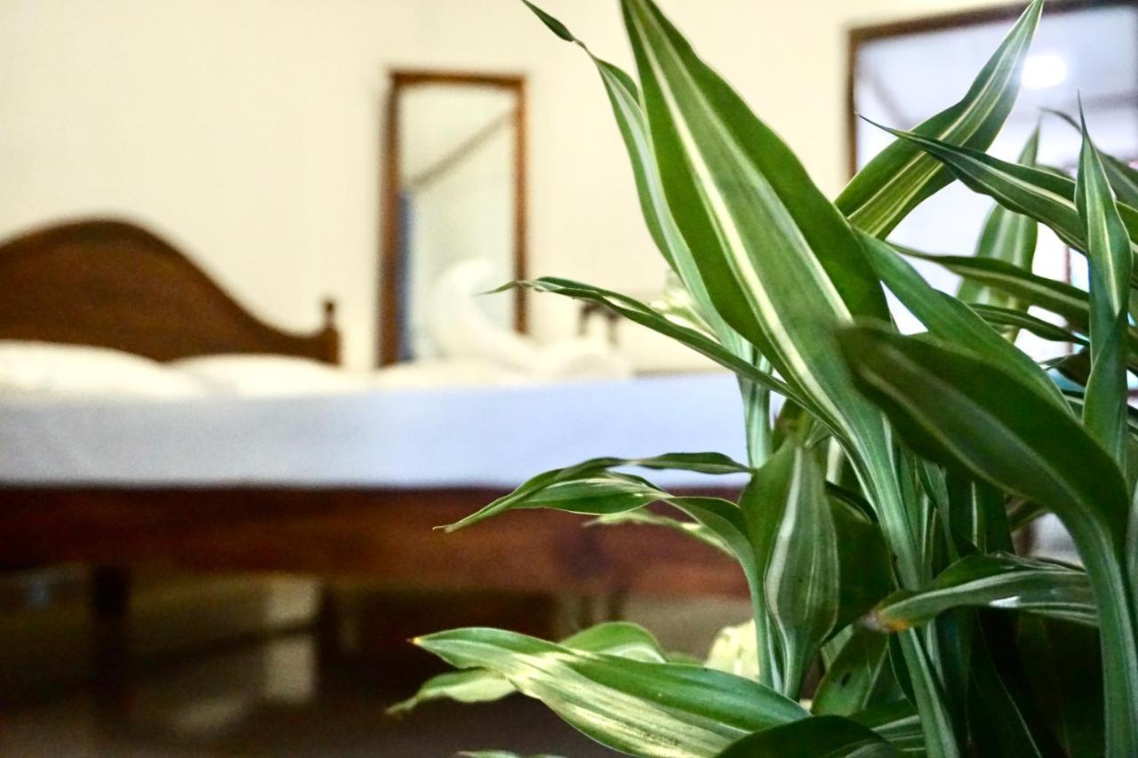Talalla Village Beach Resort エクステリア 写真